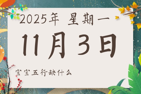 2025年11月3日出生的男孩女孩五行属什么缺什么