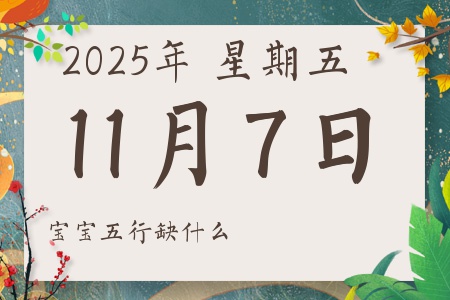 2025年11月7日出生的男孩女孩五行属什么缺什么