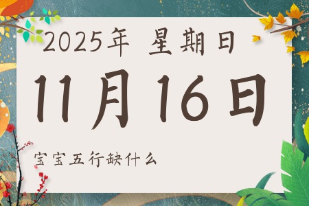 2025��11��16�ճ������к�Ů��������ʲôȱʲô