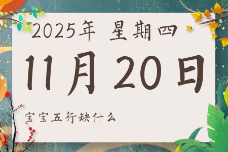 2025��11��20�ճ������к�Ů��������ʲôȱʲô