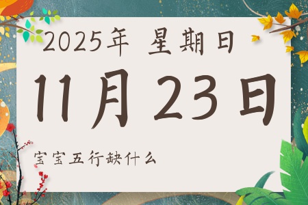 2025��11��23�ճ������к�Ů��������ʲôȱʲô