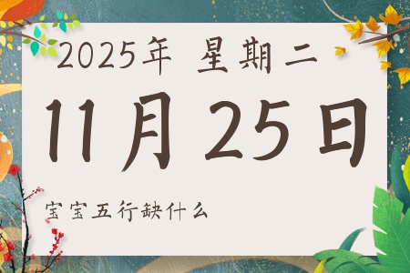 2025年11月25日出生的男孩女孩五行属什么缺什么